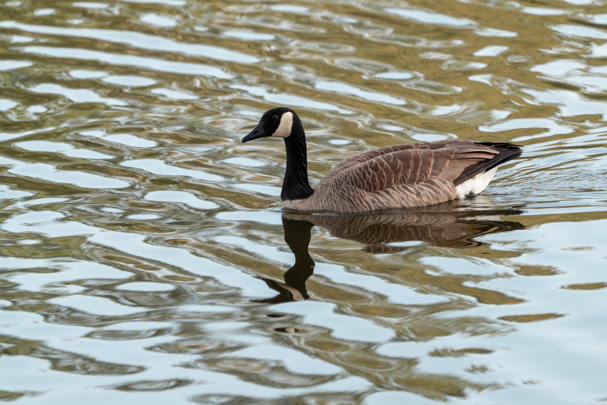 DS601050.jpg