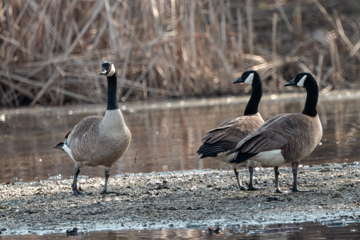 DS601069.jpg